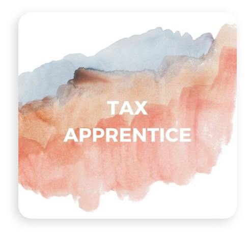Tax Apprentice